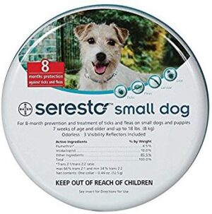 הדברה לכלבים