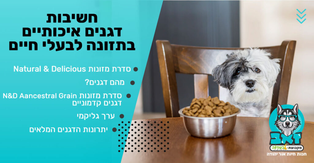 חשיבות דגנים איכותיים בתזונה לבעלי חיים