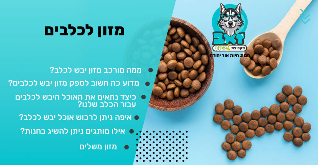 מזון לכלבים