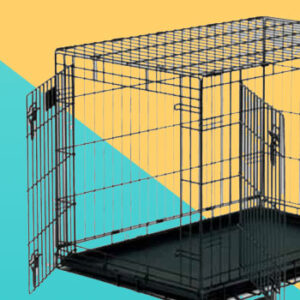 כלוב אילוף לכלבים