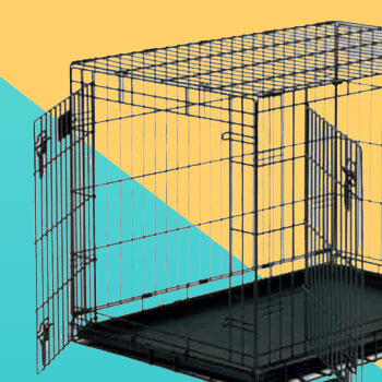 כלוב אילוף לכלב